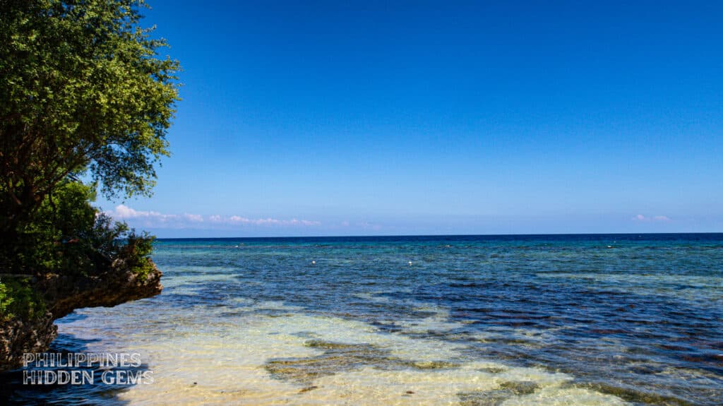 Colorful coral reef and tropical fish in Siquijor marine sanctuary